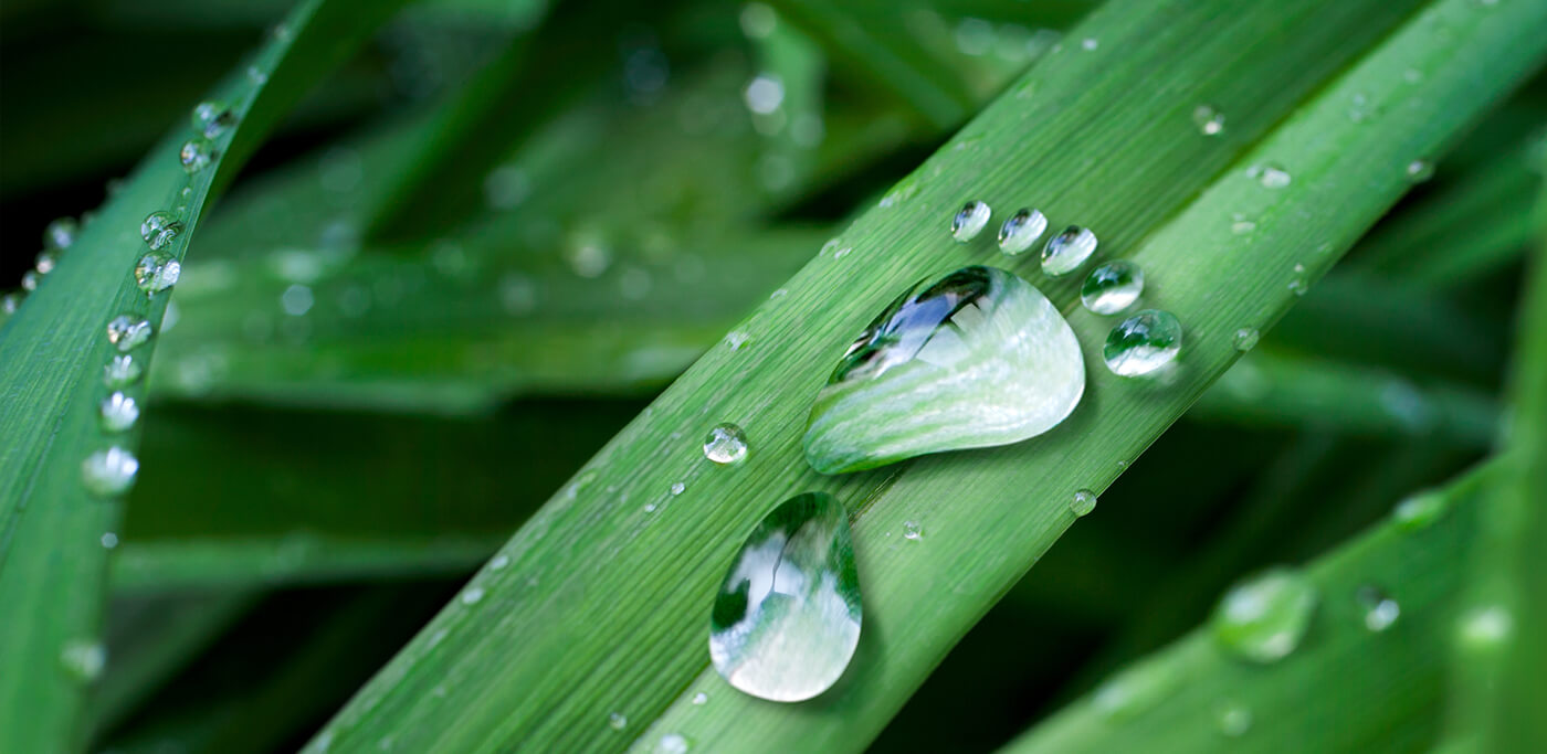 Carbon footprint made out of dew